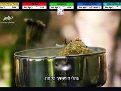 dxsatcs-amos-3-middle-east-sat-reception-prodelin-450cm-10758-mhz-v-Yes-israel-nds-videoguard-decoding-animalplanet-01