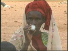 feed AL Jazeera Ethiopia 2.4M JSC ZEBRA EXP 03